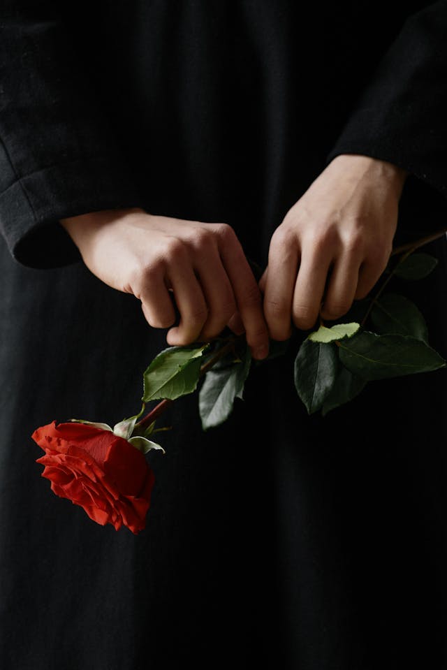 hands holding a red flower